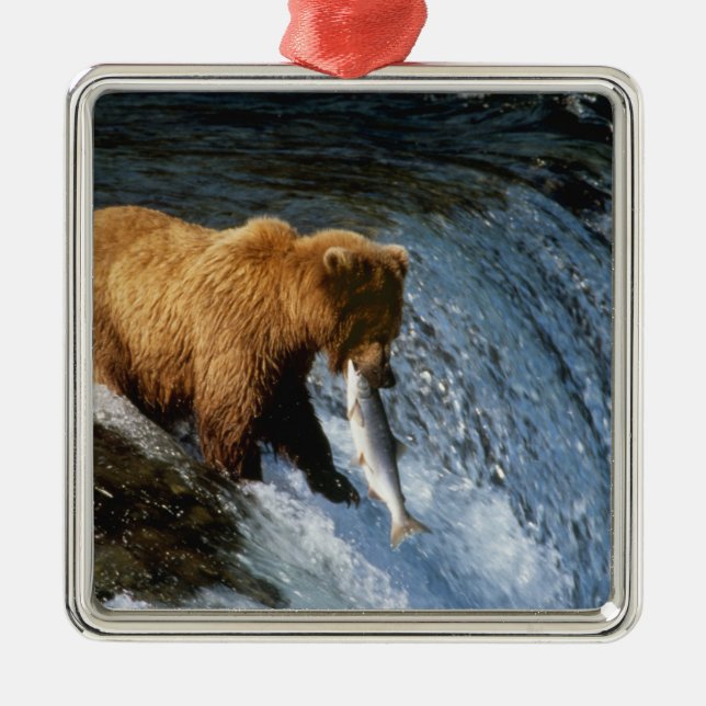 Alaska Brown Bear Catching Salmon vid Brooks Julgransprydnad Metall (Framsidan)