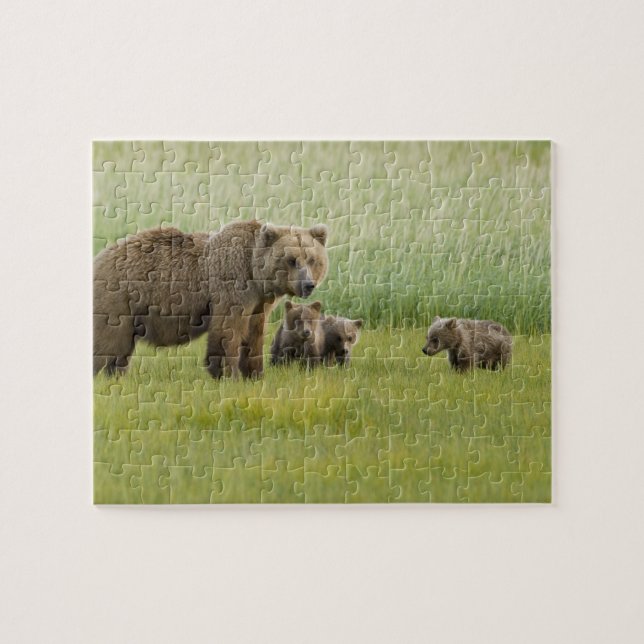 Alaska Brown Bear Sow och tre Unge, Ursus Pussel (Horisontell)