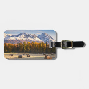 Alaska bruka bagagebricka
