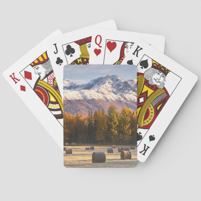 Alaska bruka casinokort (Baksidan)