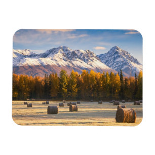 Alaska bruka magnet