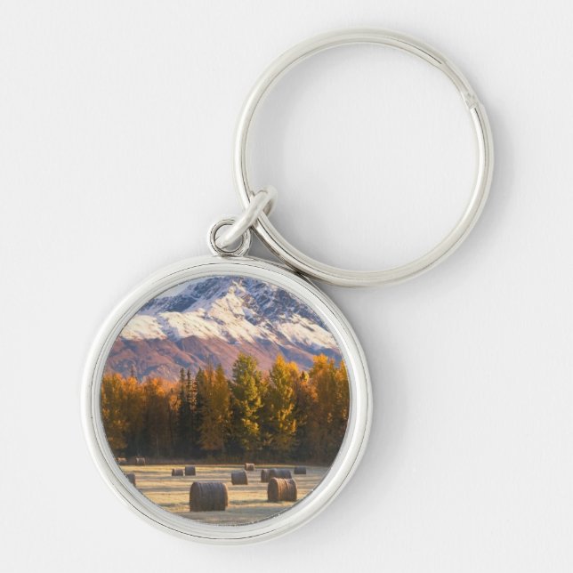 Alaska bruka rund silverfärgad nyckelring (Framsidan)