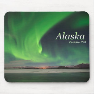 Alaska Curtain Call Musmatta