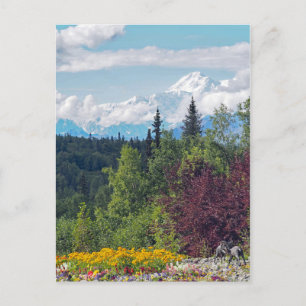 Alaska Denali Landscape Blommigt Photo Vykort