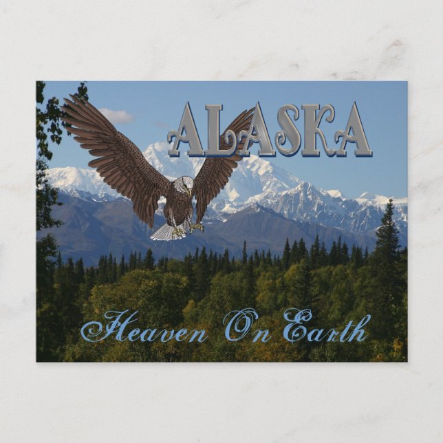 Alaska Denali National Park Mount McKinley Card Vykort (Framsida)