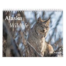 Alaska djurliv kalender