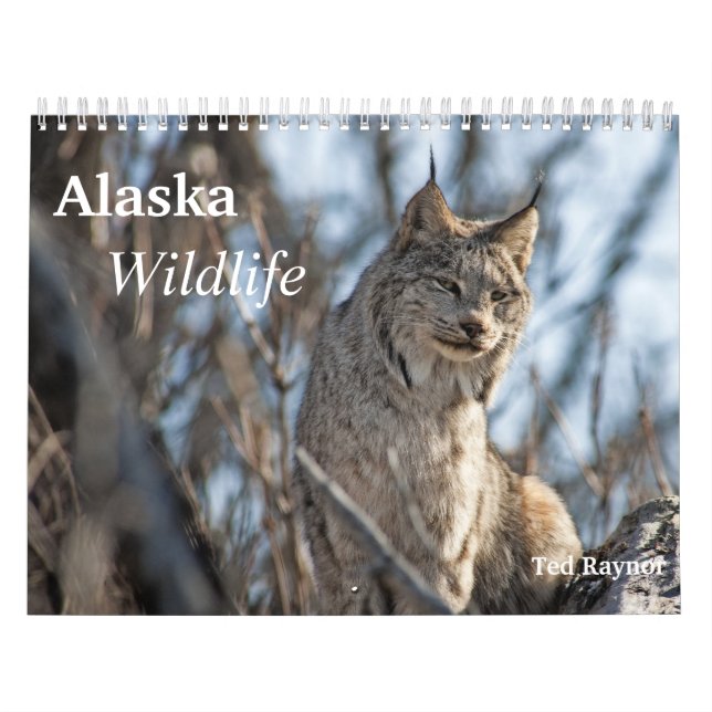 Alaska djurliv kalender (Omslag)