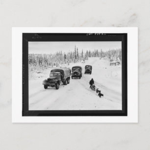 Alaska Dogsled & Army Lastbilar Vykort
