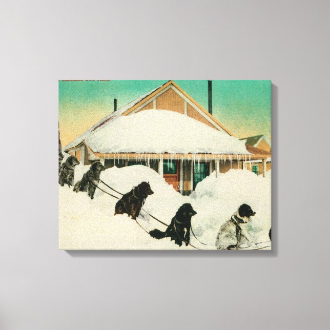 Alaska Dogsled Team vilar i SnowState Canvastryck (Framsida)