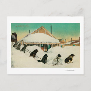 Alaska Dogsled Team vilar i SnowState Vykort