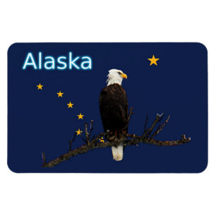 Alaska Eagle och Flagga Magnet