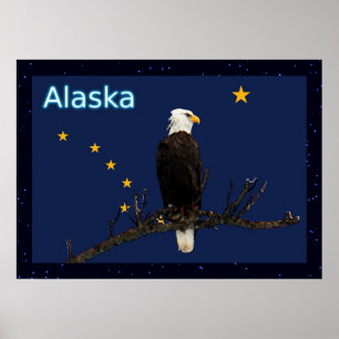 Alaska Eagle och Flagga Poster