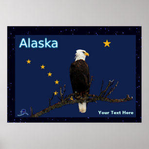 Alaska Eagle och Flagga Poster