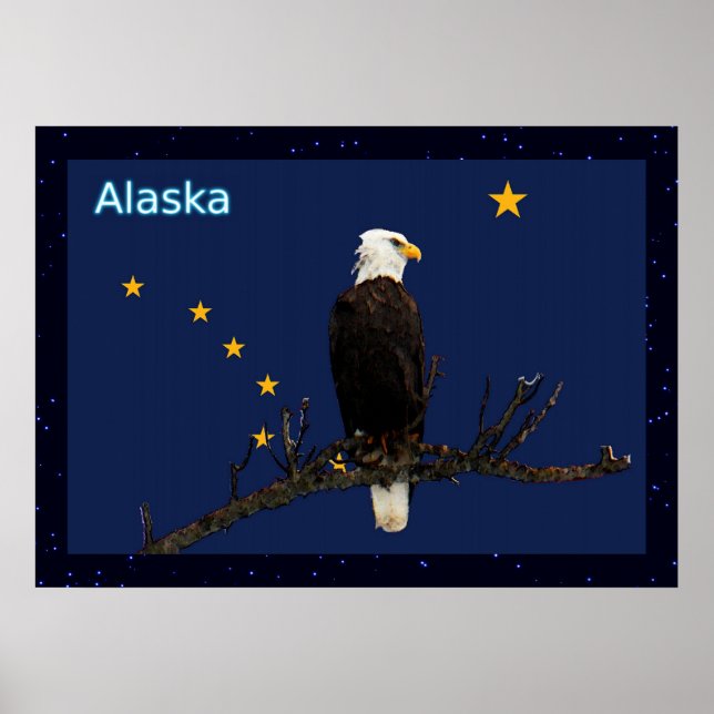 Alaska Eagle och Flagga Poster (Framsidan)