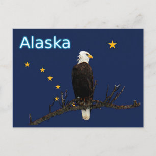 Alaska Eagle och Flagga Vykort