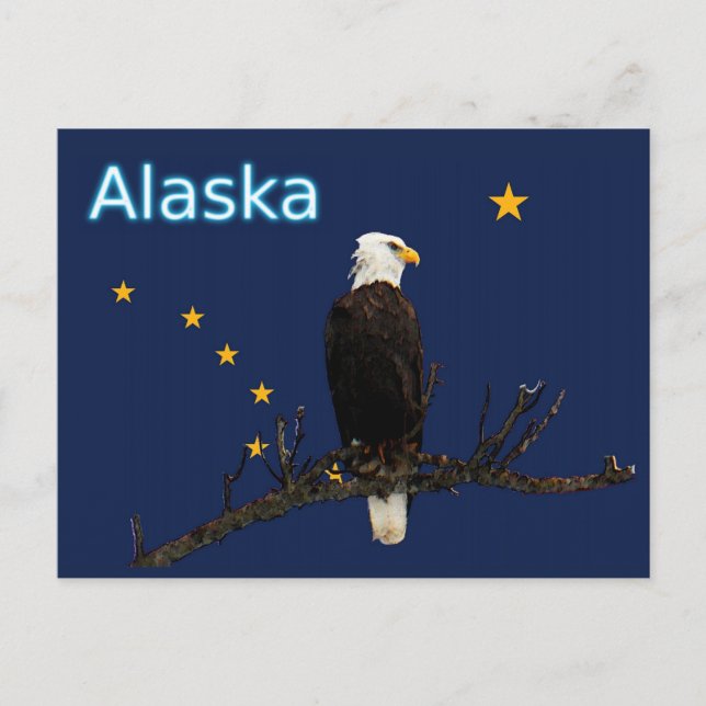 Alaska Eagle och Flagga Vykort (Framsida)