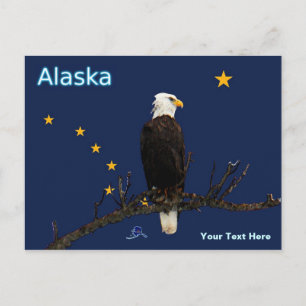 Alaska Eagle och Flagga Vykort