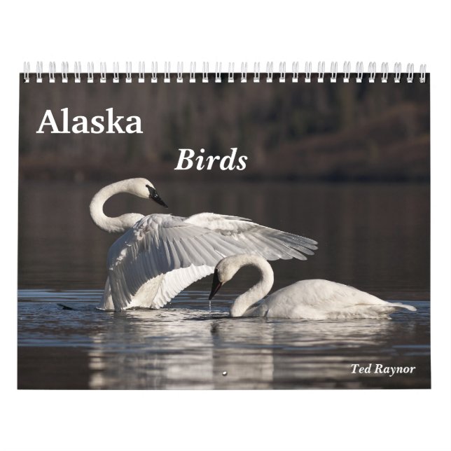 Alaska fåglar kalender (Omslag)