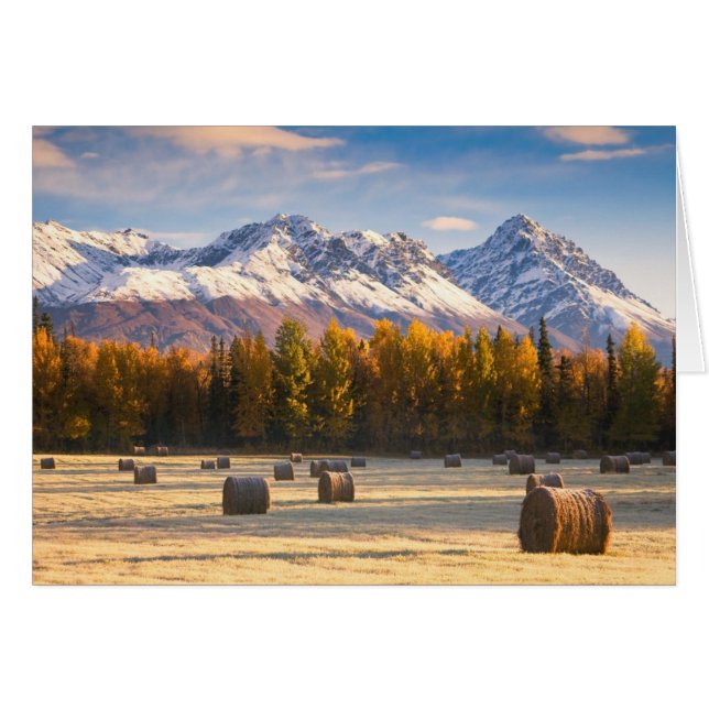 Alaska Farming Hälsningskort (Framsidan Horizontal)