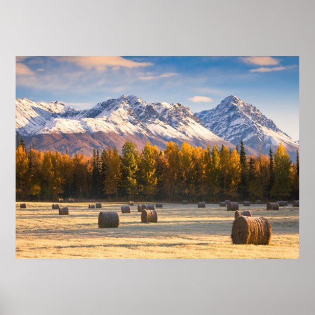 Alaska Farming Poster (Framsidan)