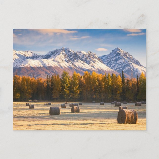 Alaska Farming Vykort (Framsida)