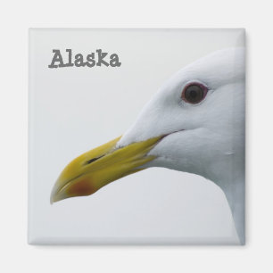 Alaska Fiskmås Magnet