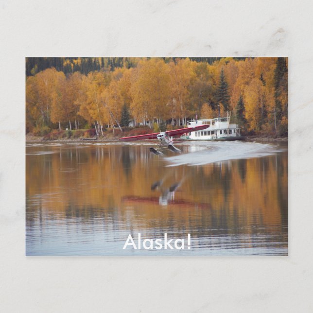 Alaska, Floatplane, Riverboat, Birch träd i Fall Vykort (Framsida)