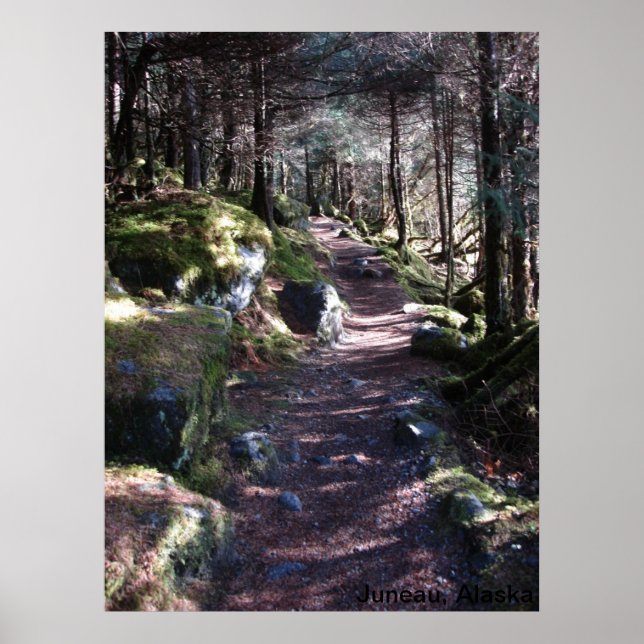 Alaska Forest Trail Poster (Framsidan)