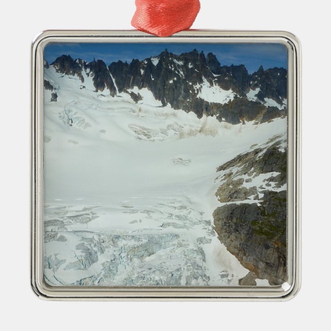 Alaska Glacier Scenia Travel Landscape Julgransprydnad Metall (Framsidan)