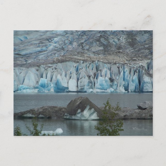 Alaska Glacier Vykort (Framsida)