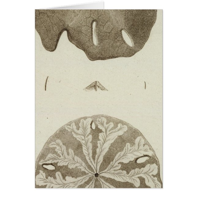 Alaska Hälsningskort (Framsidan)