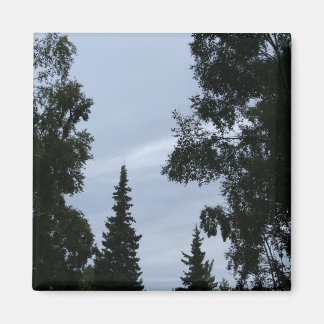 Alaska himlar magnet