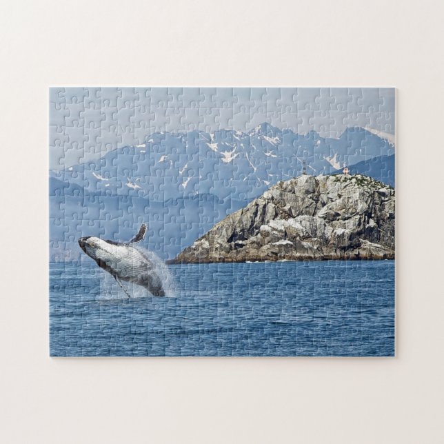 Alaska Humpback Whale Wildlife Photo Pussel (Horisontell)