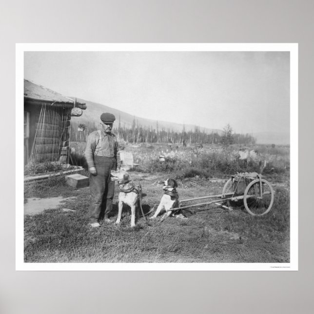 Alaska Hund Cart Transport 1916 Poster (Framsidan)