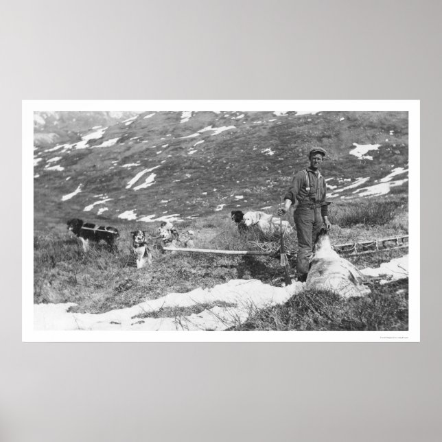 Alaska Hund Team Hunting 1912 Poster (Framsidan)