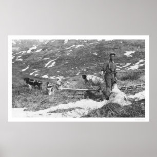 Alaska hundlag som jagar 1912 poster
