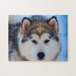 Alaska Huskey Hund. Pussel