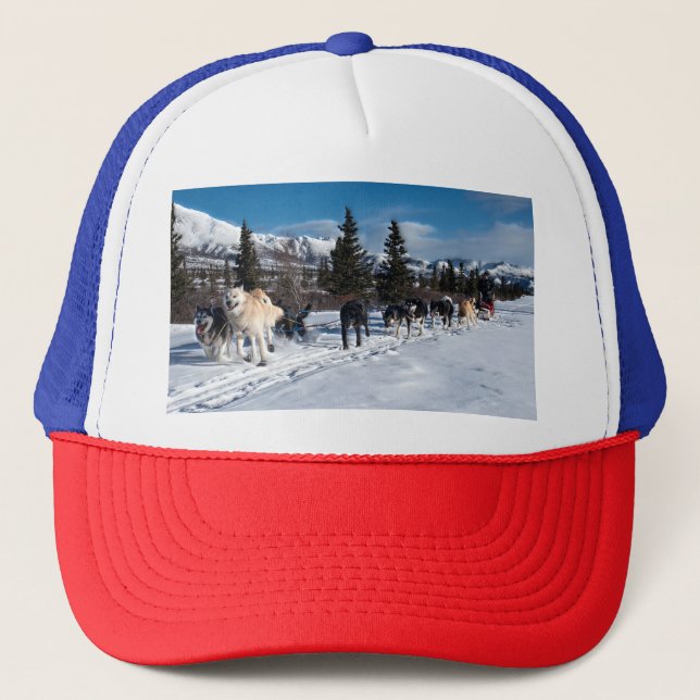 Alaska Husky Dog Sled Race Keps (Framsida)