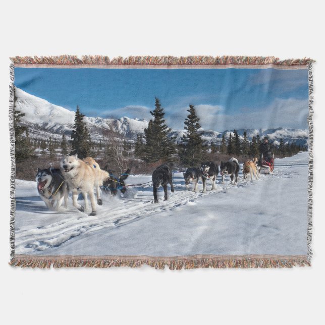 Alaska Husky Hund Sled Tävling Filt (Framsidan)