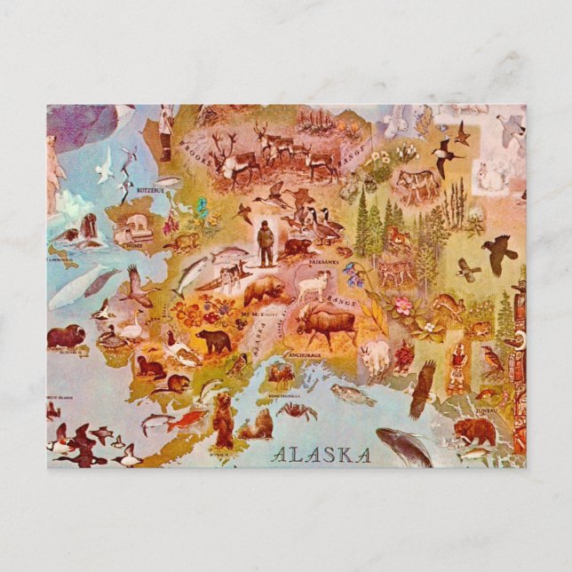 Alaska Illustrerat Vintage Postkort Vykort (Framsida)