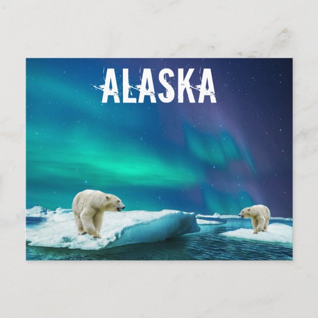 Alaska Isbjörnar Aurora Borealis Vykort (Framsida)