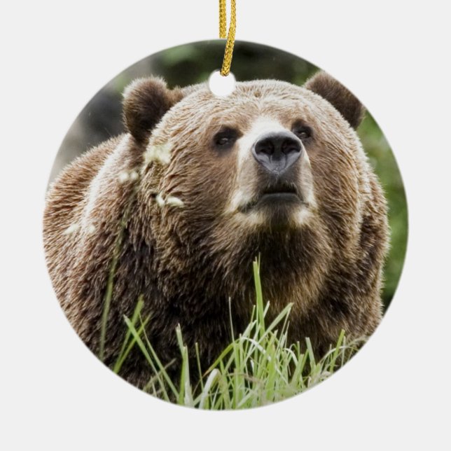 ALASKA JULGRANSPRYDNAD KERAMIK (Framsidan)