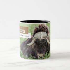 Alaska kaffe koppar - Muskoxar