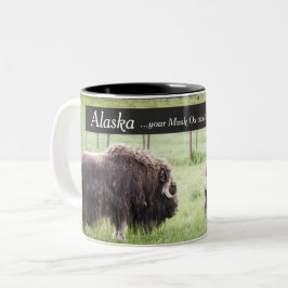 Alaska kaffe koppar - Muskoxen väntar på