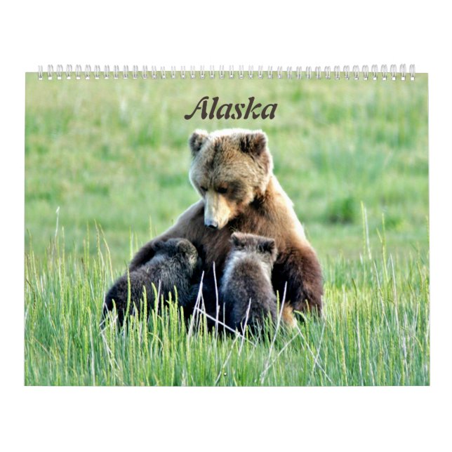 Alaska Kalender (Omslag)