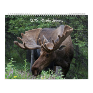 Alaska kalender - som är tillgänglig för något