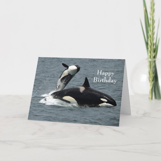Alaska Killer Whale Orca Photo Birthday Card Tack Kort (Framsida)