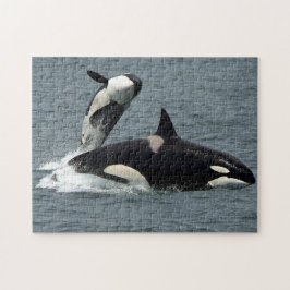 Alaska Killer Whale Orca Photo Pussel