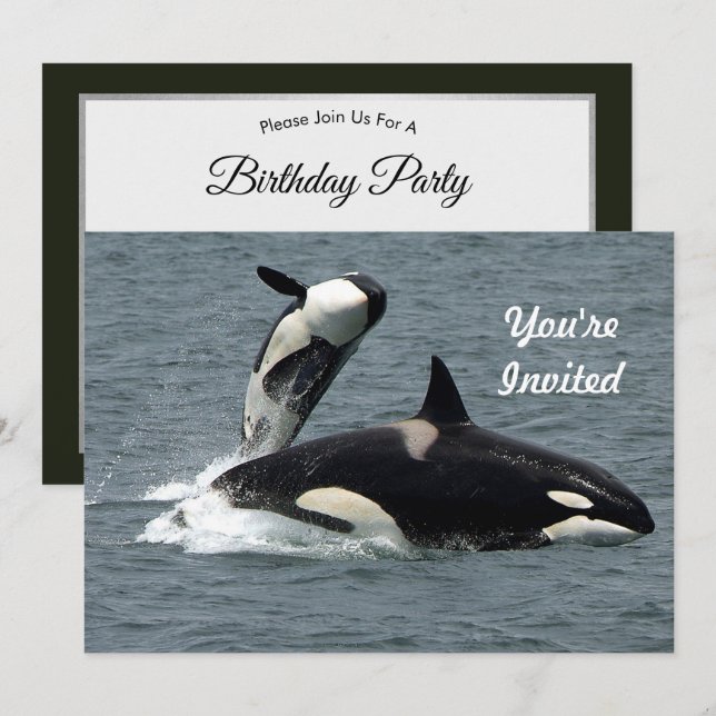 Alaska Killer Whale Photo Birthday Inbjudningar (Fram/baksida)