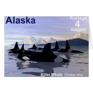 Alaska Killer Whales Frimärke Hälsningskort